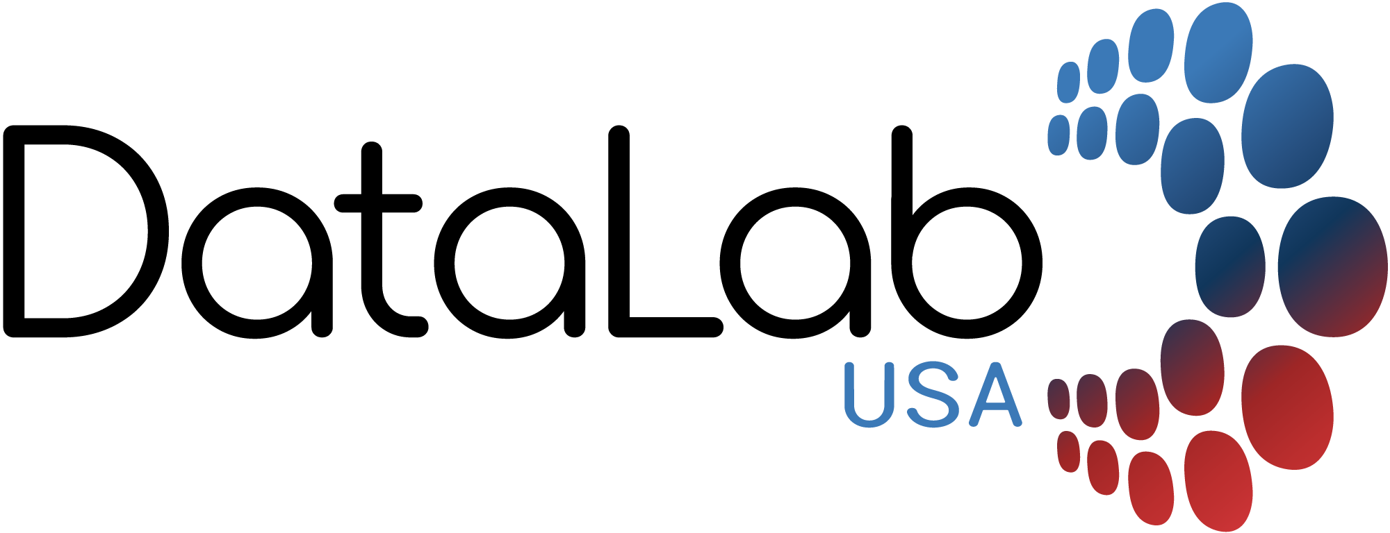 DataLab USA Logo
